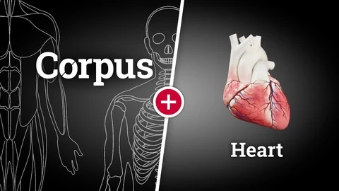 Corpus Anatomy + Heart cover