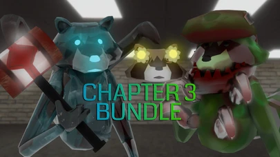 Chapter 3 Bundle cover