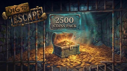 2500 Coins cover