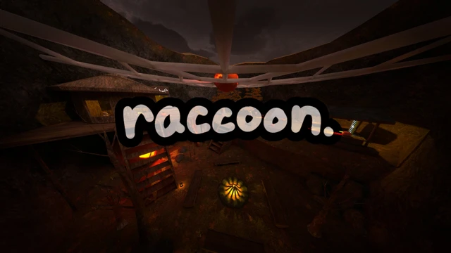 Raccoon cover