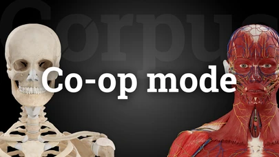 Co-op mode cover