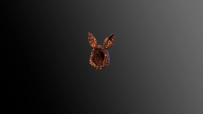 Spiny Beardie Dragon Hood cover