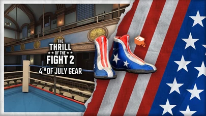 4th of July Shoes cover