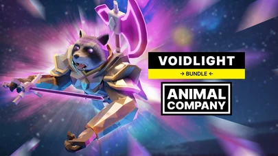 Voidlight Bundle cover