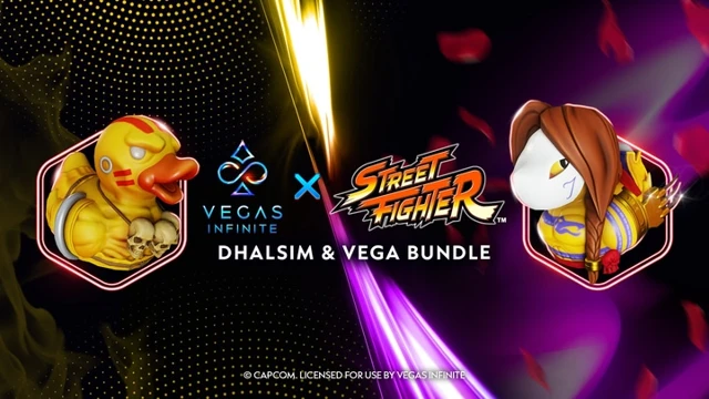 Dhalsim and Vega Bundle cover
