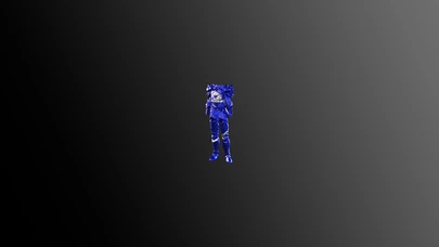 Silver Wyrm Plate Armor cover