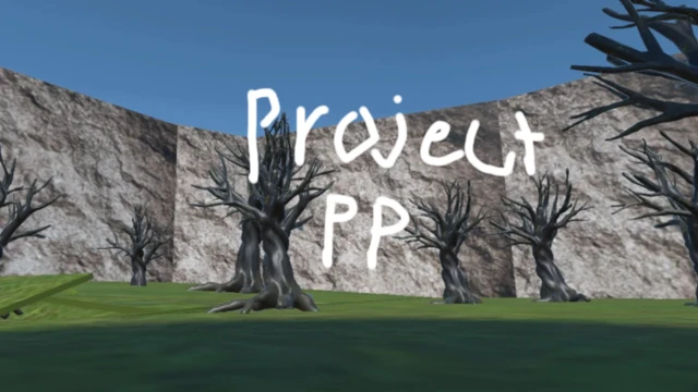 Project PP cover