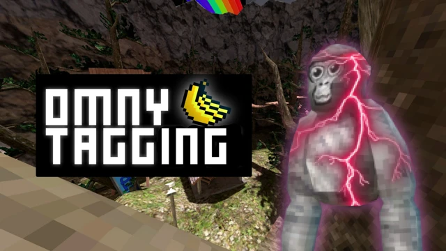 Memory Tag MODS cover