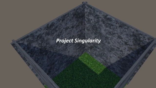 Project Singularity cover