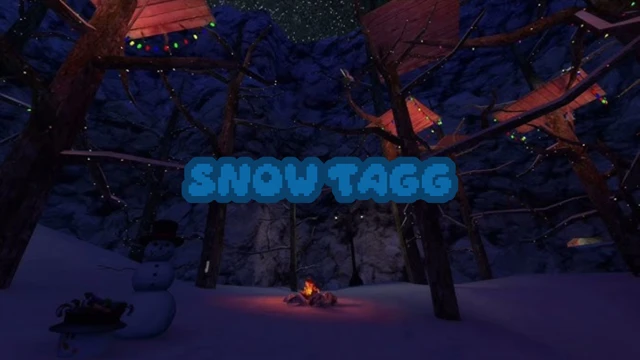 Snow Tagg cover