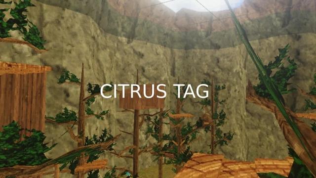 Citrus Tag cover