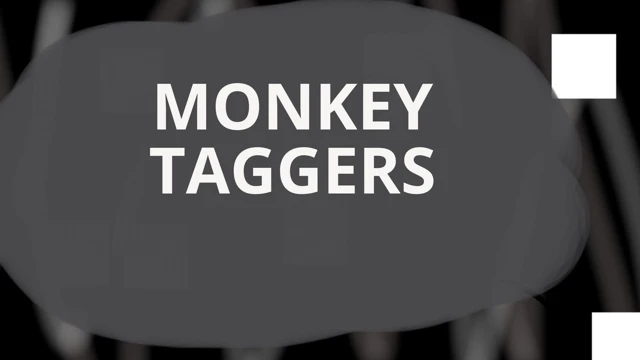 MONKEY TAGGERS cover