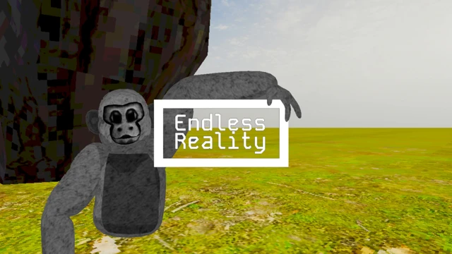 Endless Reality cover