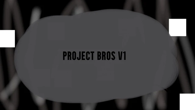 Project Bros V1 cover
