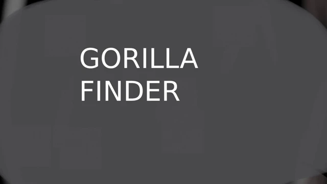 Gorilla Finder cover