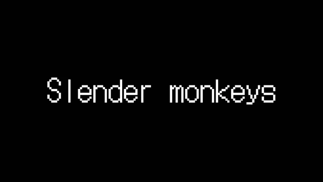 Slender Monkeys cover
