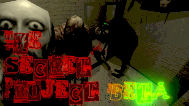 The Secret Project cover