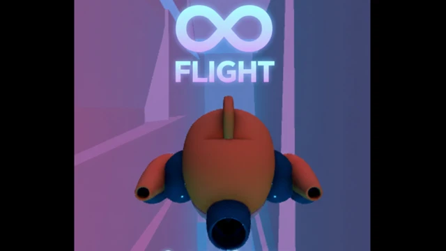 INFINITY FLIGHT cover