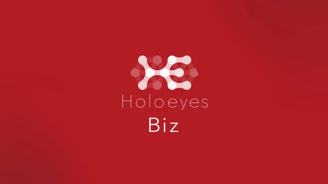 Holoeyes Biz cover
