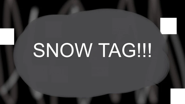 Snow Tag! cover