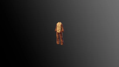 Bearded Dragon Onesie cover