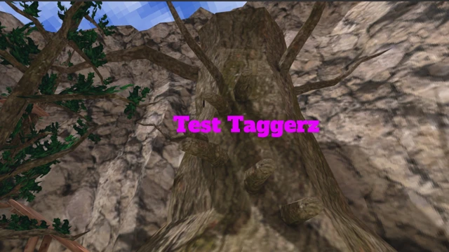 Test Taggerz cover
