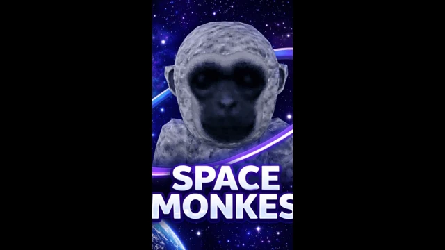 SPACE MONKES V2 cover