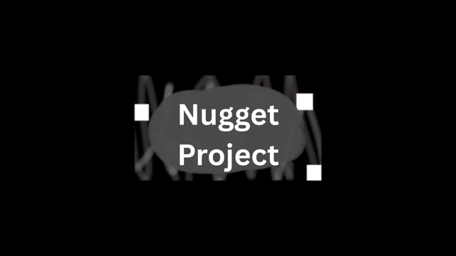 Nugget Projectㅤ cover
