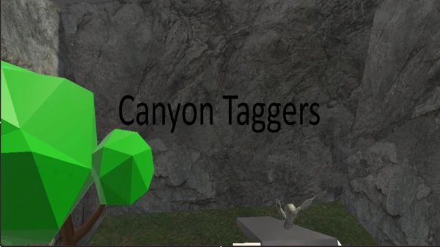 Canyon Taggers cover