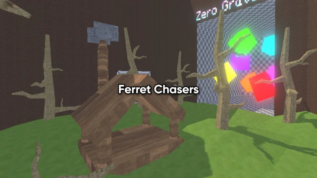 Ferret Chasers cover