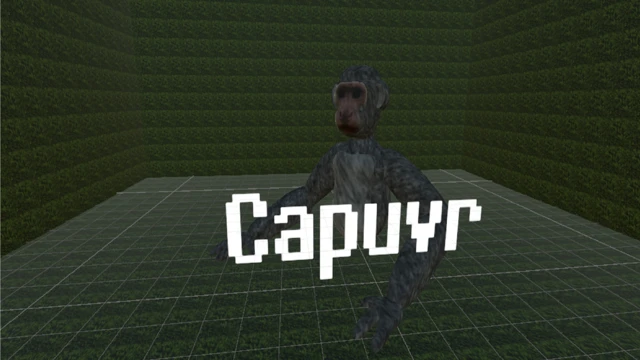 Capuvr cover