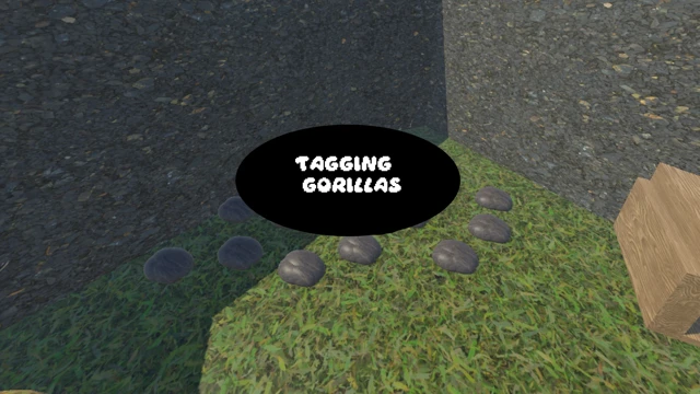 Tagging Gorillas cover