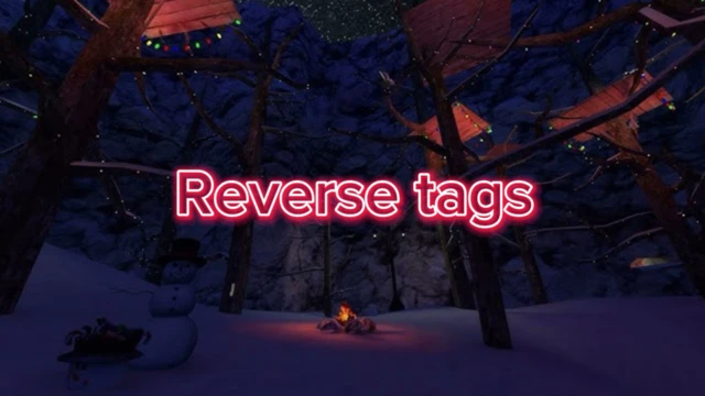 Reverse Tags cover
