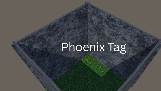 Phoenix Tag cover
