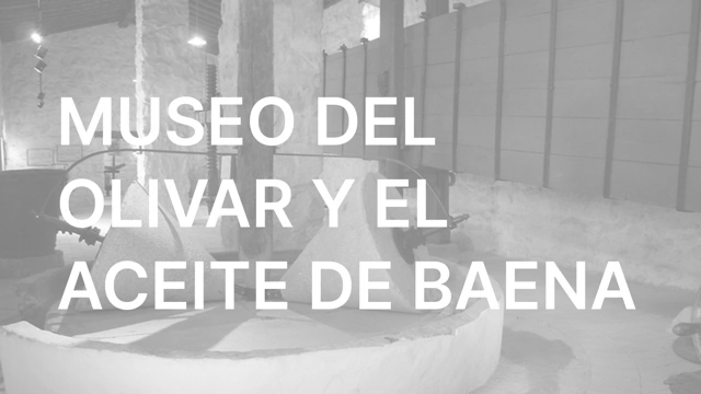 Baena Olive Grove and Oil Museum VR cover