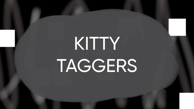 Kitty Taggers cover