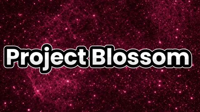 Project Blossom cover