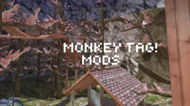 MONKEY TAG MODS cover