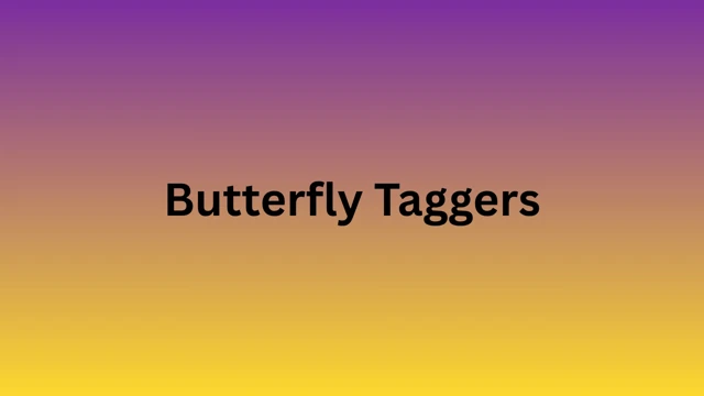 Butterfly Taggers cover