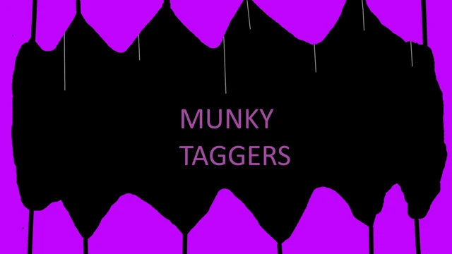 Munky Taggers cover