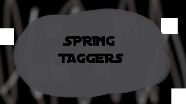 Spring Taggers cover