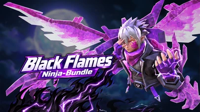 Ninja - Black Flames Bundle cover