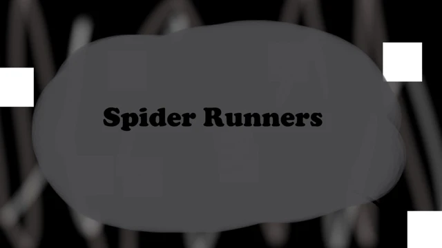Spider Runners cover