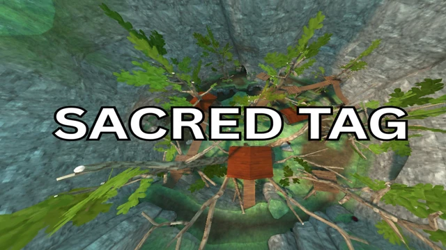 Sacred Tag cover