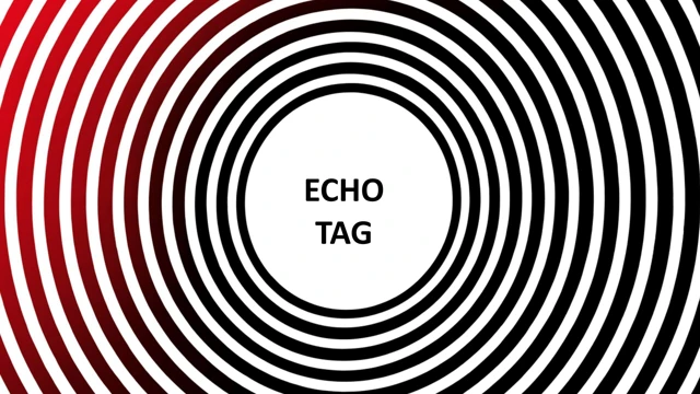 Echo Tag cover
