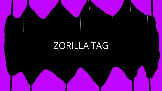 ZORILLA TAG cover