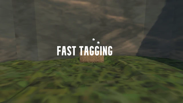 FAST TAGGING cover