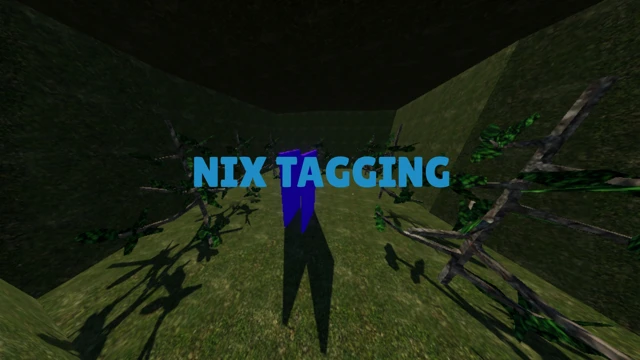 Nix Tagging cover