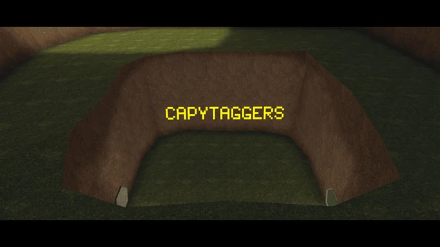 CapyTaggers cover