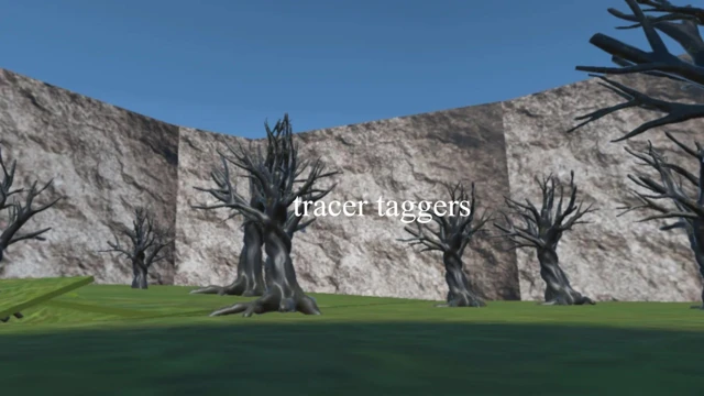 tracer taggers cover